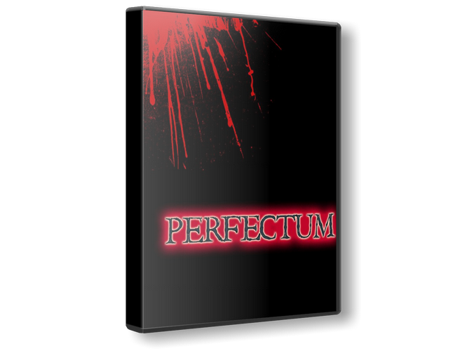 Perfectum game