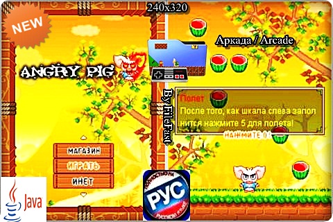 Angry Pig / Сердитая Свинья