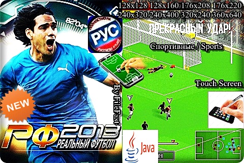 Real Football 2013 / Реальный футбол 2013